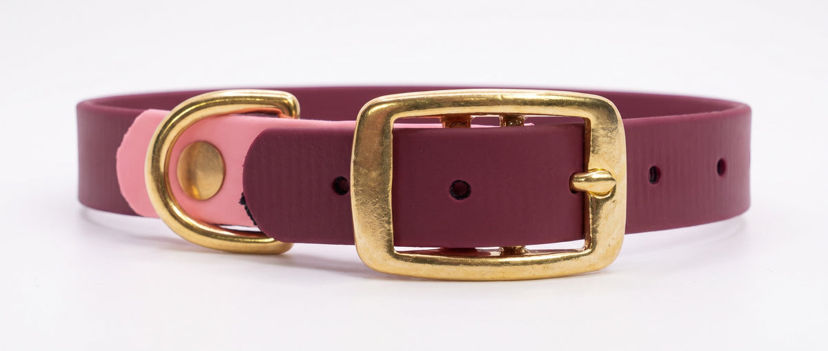 Collare bicolore bordeaux con capo fibbia rosa e fibbia in ottone