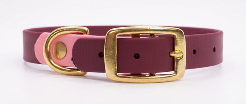 Collare bicolore bordeaux con capo fibbia rosa e fibbia in ottone