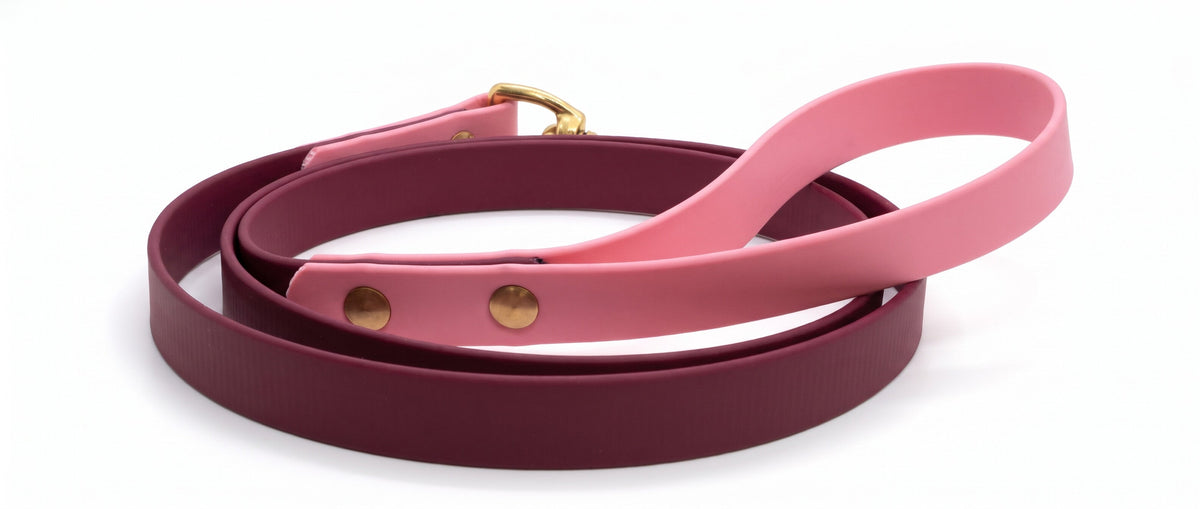 Guinzaglio bicolore bordeaux e rosa arrotolato