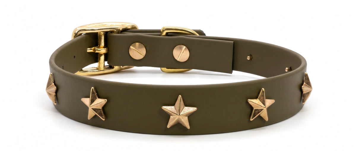Collare verde oliva con stelle dorate