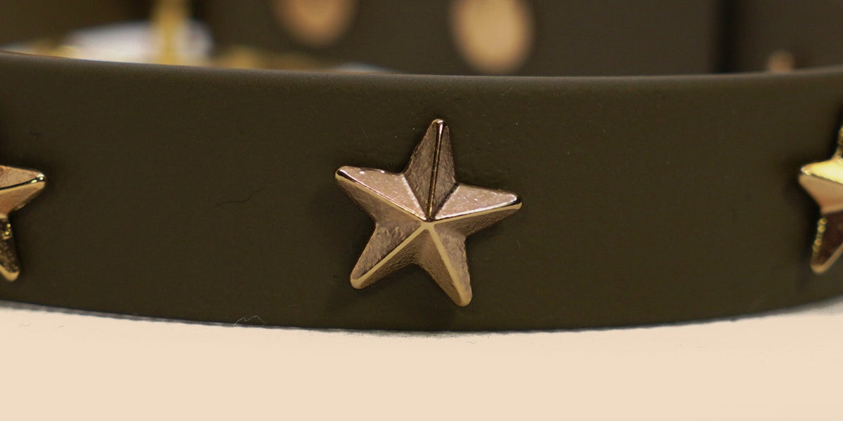 Dettaglio della stella dorata sul verde oliva