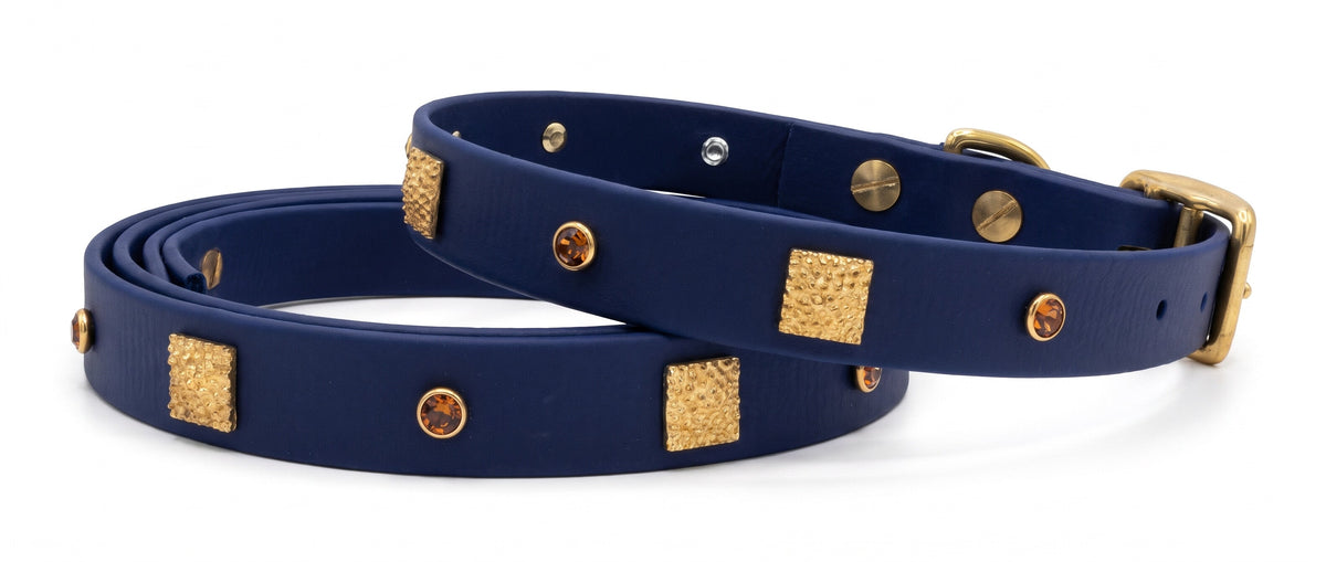 Set collare e guinzaglio blu navy con ferramenta in ottone dorato